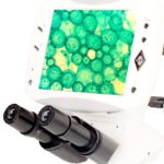 BIM500L Digital LCD Inverted Biological Microscope