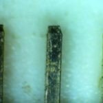 BSM500P Stereo Zoom Microscope with Episcopic Illumination