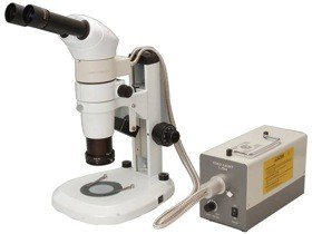 BSM500P Stereo Zoom Microscope with Episcopic Illumination