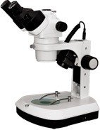 BSM330 Zoom Stereo Microscope