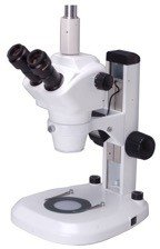 BSM340 Zoom Stereo Microscope