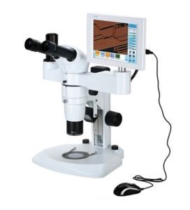 BSM500L Stereo Zoom Microscope