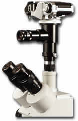 Digital SLR Camera adapters for Nikon /Canon /Olympus cameras and Meiji Techno Microscopes