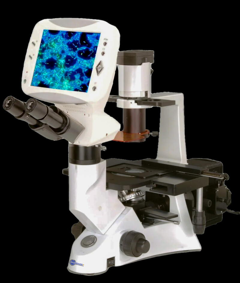 BIM500FLD Digital LCD Inverted Epi-Fluorescnce Biological Microscope - Image 3