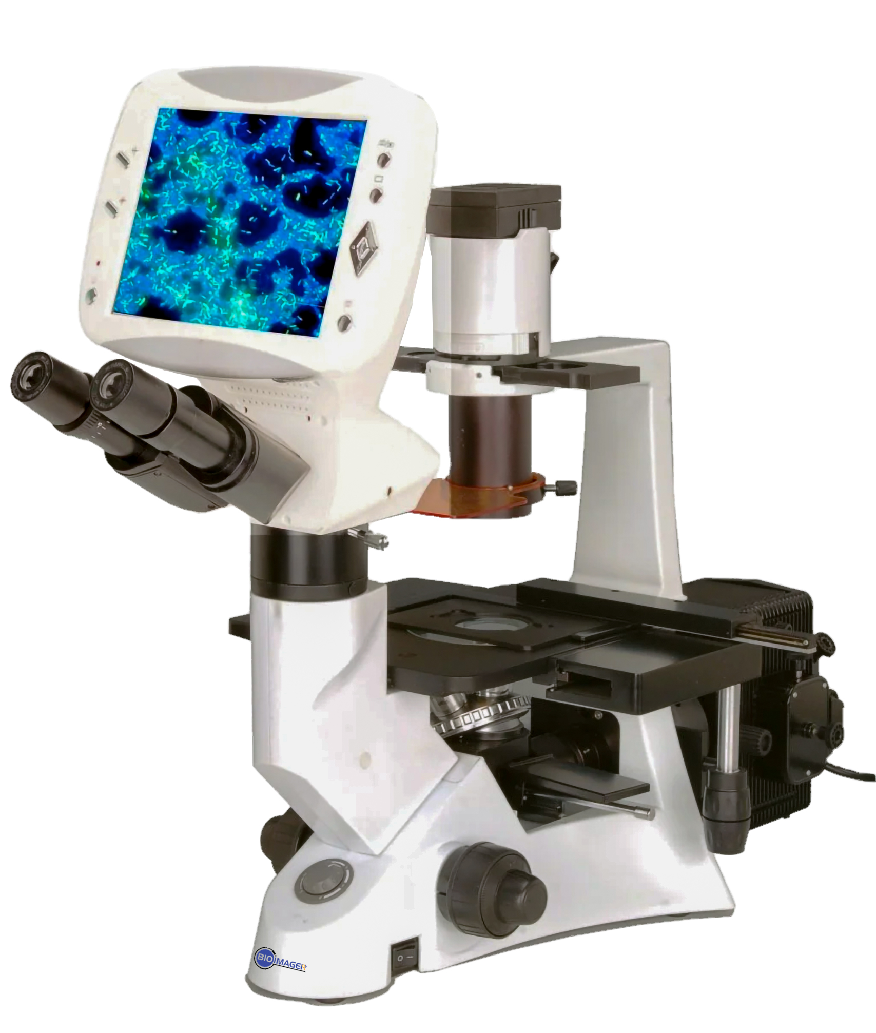 Digital Fluorescence