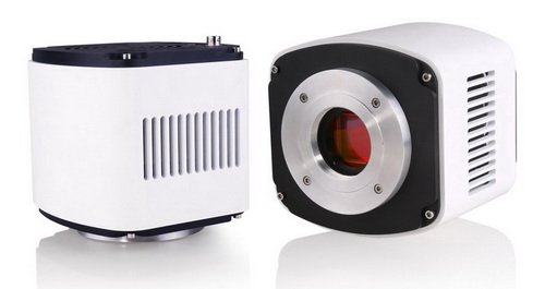 BIC-C40D 4MP 1.2" 6.5μm/pixel Monochrome sCMOS Microscope Camera with external trigger