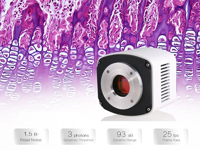 BIC-C40D 4MP 1.2" 6.5μm/pixel Monochrome sCMOS Microscope Camera with external trigger