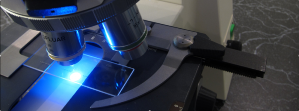 Multi-wavelength Epi-Fluorescence/Reflective LED Light Sources, BILEX
