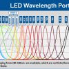 Multi-wavelength Epi-Fluorescence/Reflective LED Light Sources, BILEX