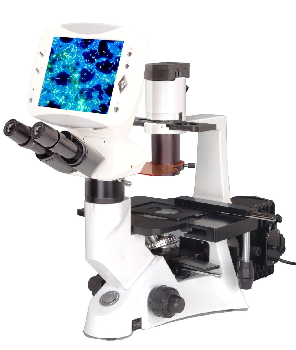 BIM500FLD Digital LCD Inverted Epi-Fluorescnce Biological Microscope