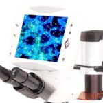 BIM500FLD Digital LCD Inverted Epi-Fluorescnce Biological Microscope