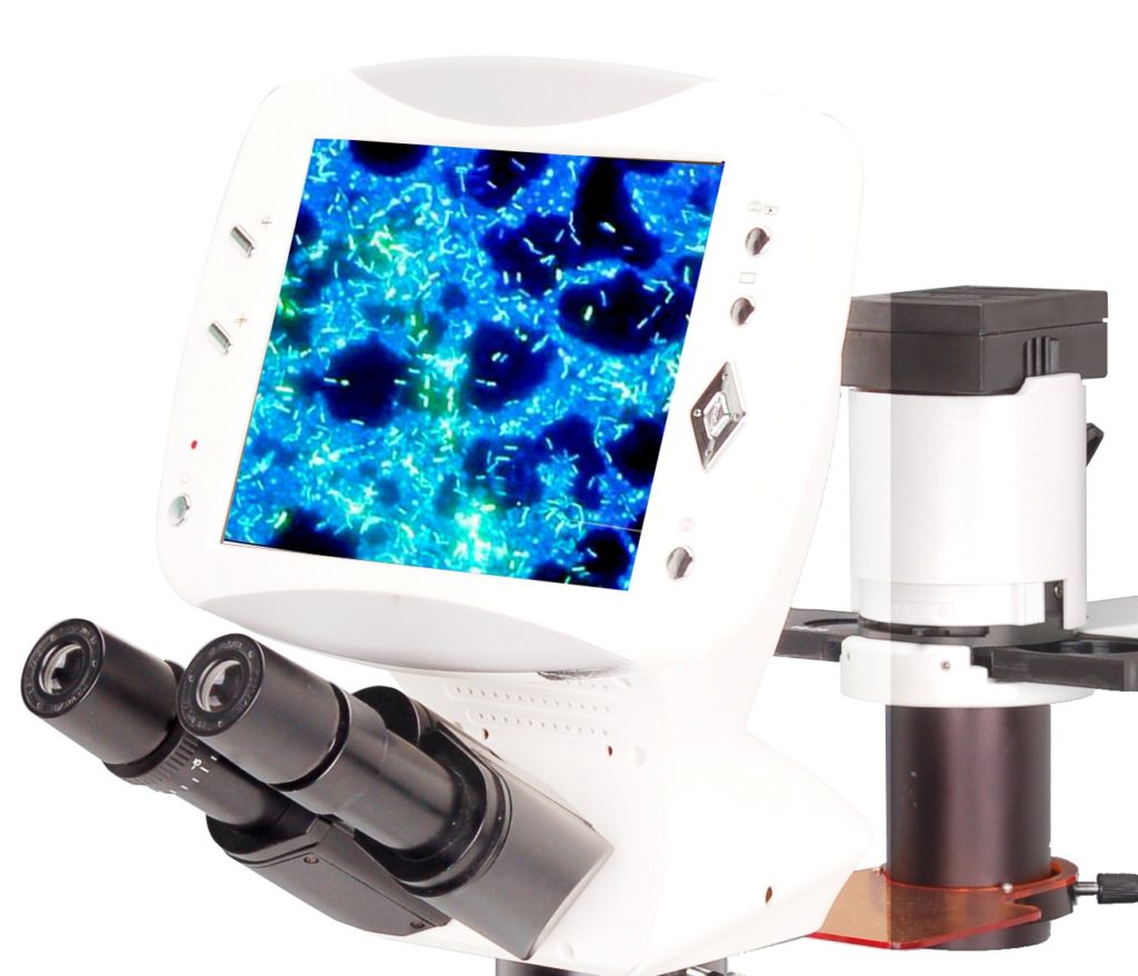 BIM500FLD Digital LCD Inverted Epi-Fluorescnce Biological Microscope