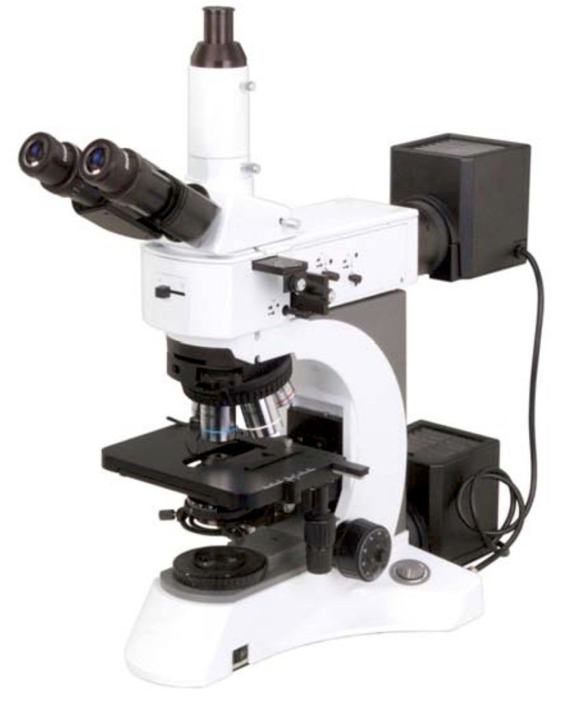 BMU500DIC Metallurgical Upright Reflected/Transmitted BF/DF/Pol & Optional DIC Microscope