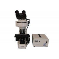 MT6000 Halogen Epi-Fluorescence Biological Microscope