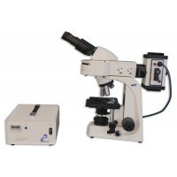 MT6000 Halogen Epi-Fluorescence Biological Microscope