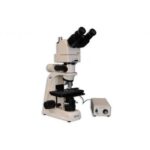 MT8100EH Halogen Ergo Trino Incident/Transmitted Light BF Microscope