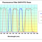 Dual- & Multi-band Fluorescence Filters