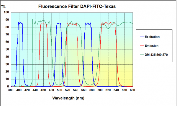 Dual- & Multi-band Fluorescence Filters