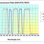 Dual- & Multi-band Fluorescence Filters