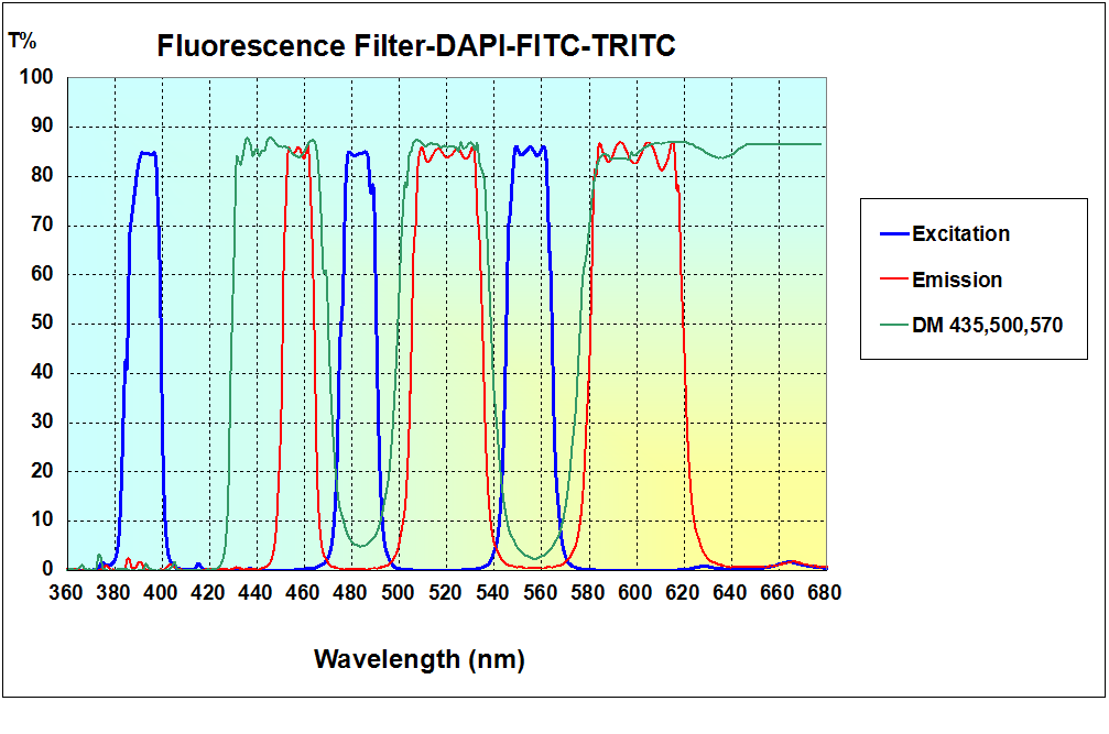 Dual- & Multi-band Fluorescence Filters