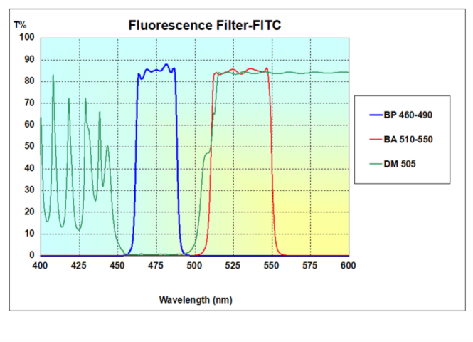 Single-band Fluorescence Filters