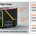 Single-band Fluorescence Filters