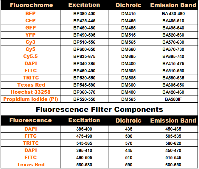 Single-band Fluorescence Filters