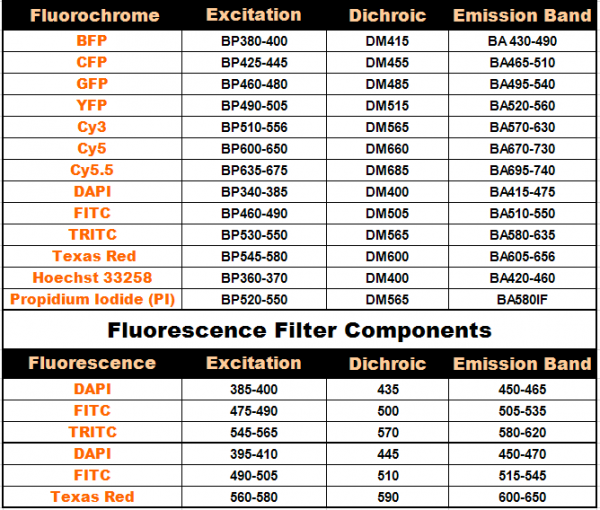 Dual- & Multi-band Fluorescence Filters