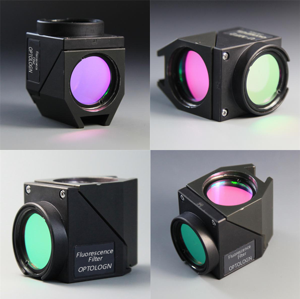 Single-band Fluorescence Filters