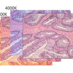 BRC-1600 16MP USB 3.0 Retina HD Colorful CMOS Microscope Camera