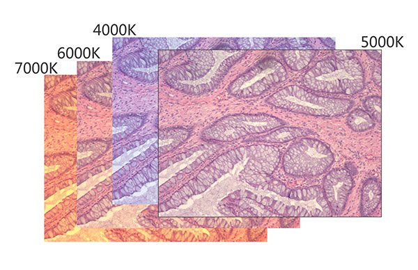 BRC-1600 16MP USB 3.0 Retina HD Colorful CMOS Microscope Camera