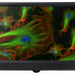 BRC-2012K Black Retina Display Camera: 11.6 Retina with 2MP True Color Camera