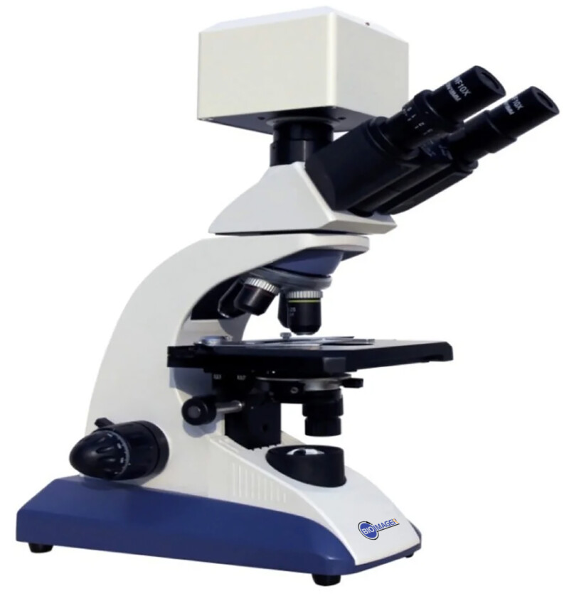 BUM400A Fully Motorized Auto-Focus Biological Microscope - Image 5