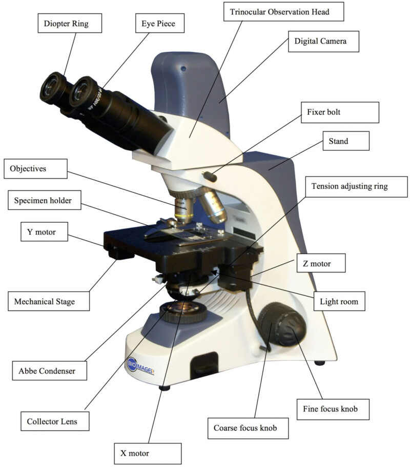 BUM400A Fully Motorized Auto-Focus Biological Microscope - Image 4
