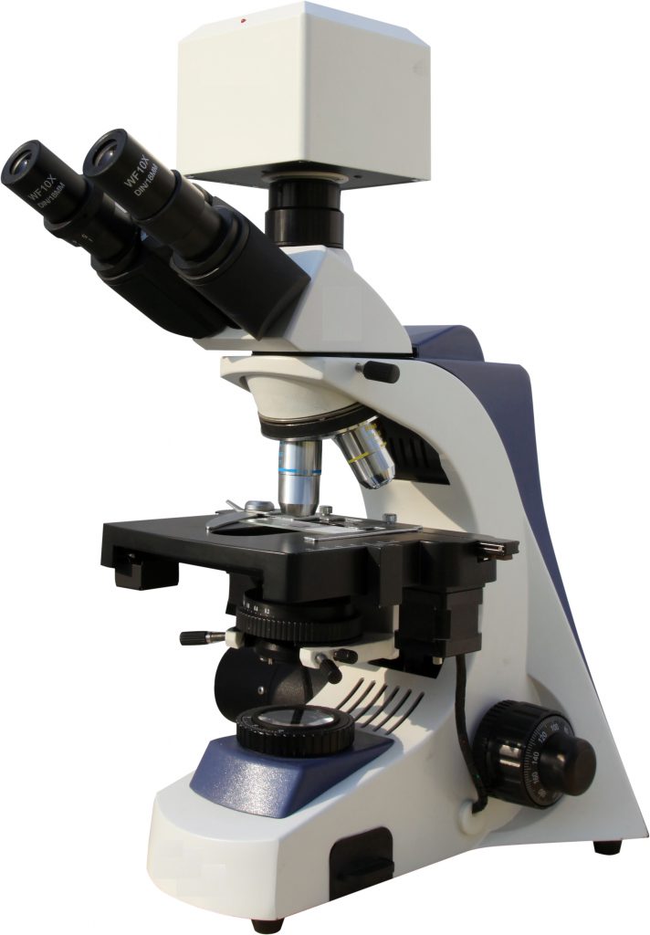 BUM400A Fully Motorized Auto-Focus Biological Microscope-9852