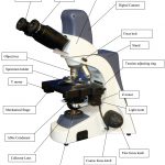 BUM400A Fully Motorized Auto-Focus Biological Microscope-9840