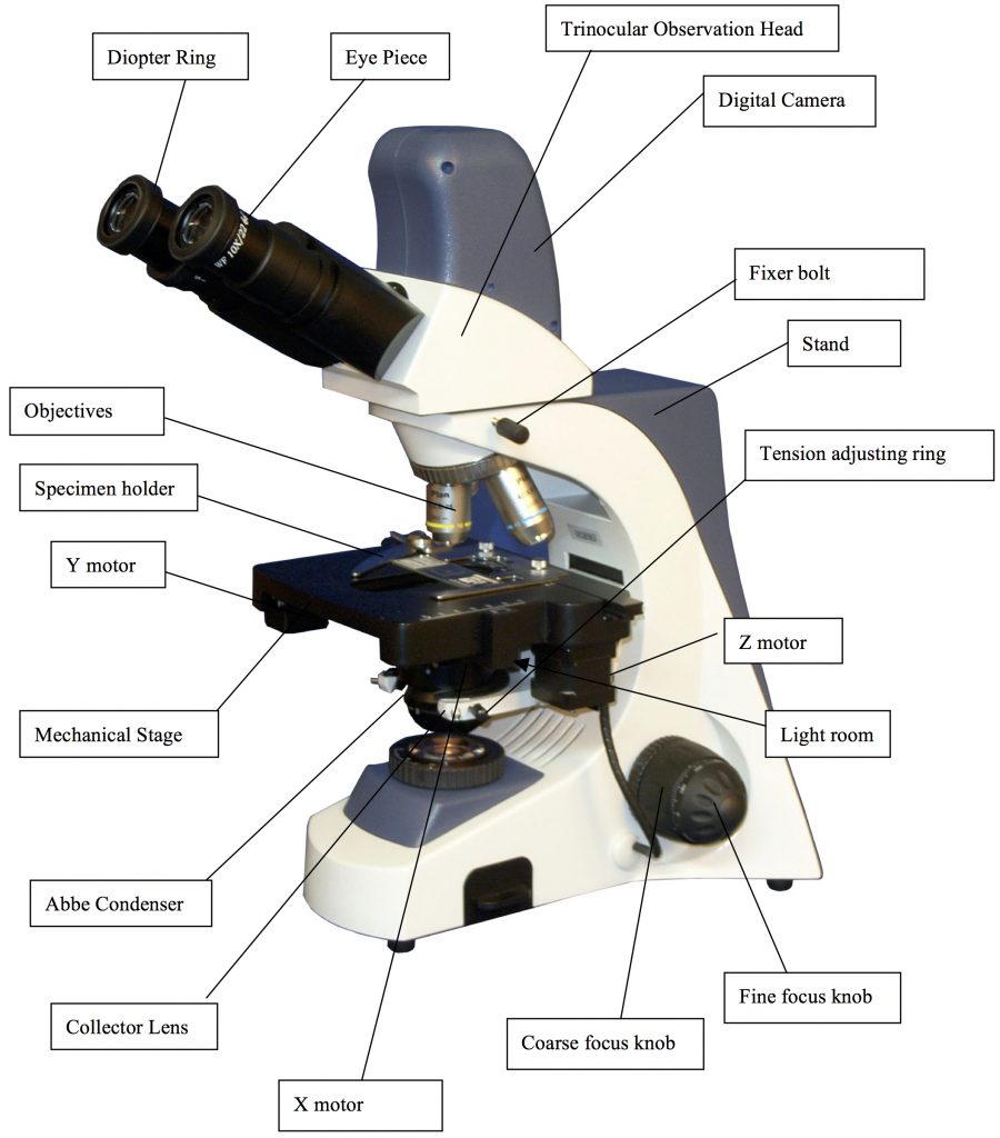 BUM400A Fully Motorized Auto-Focus Biological Microscope-9840