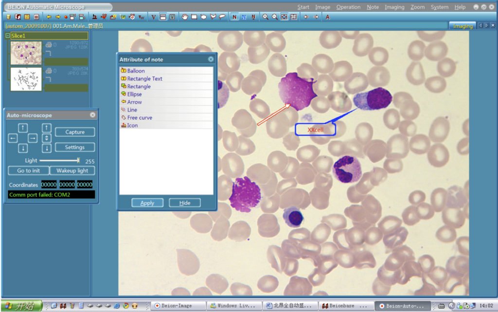 BUM400A Fully Motorized Auto-Focus Biological Microscope-9846