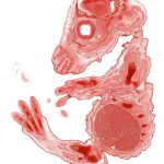 BioScan-500 Digital Pathology/Histology Slide Scanner
