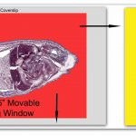 BioScan-500 Digital Pathology/Histology Slide Scanner