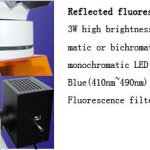 BUM360FLED LED Epi-Fluorescence Upright Microscope -9980