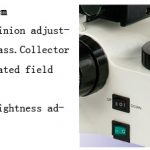 BUM360FLED LED Epi-Fluorescence Upright Microscope -9979