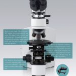 BPM800 Polarizing Microscope