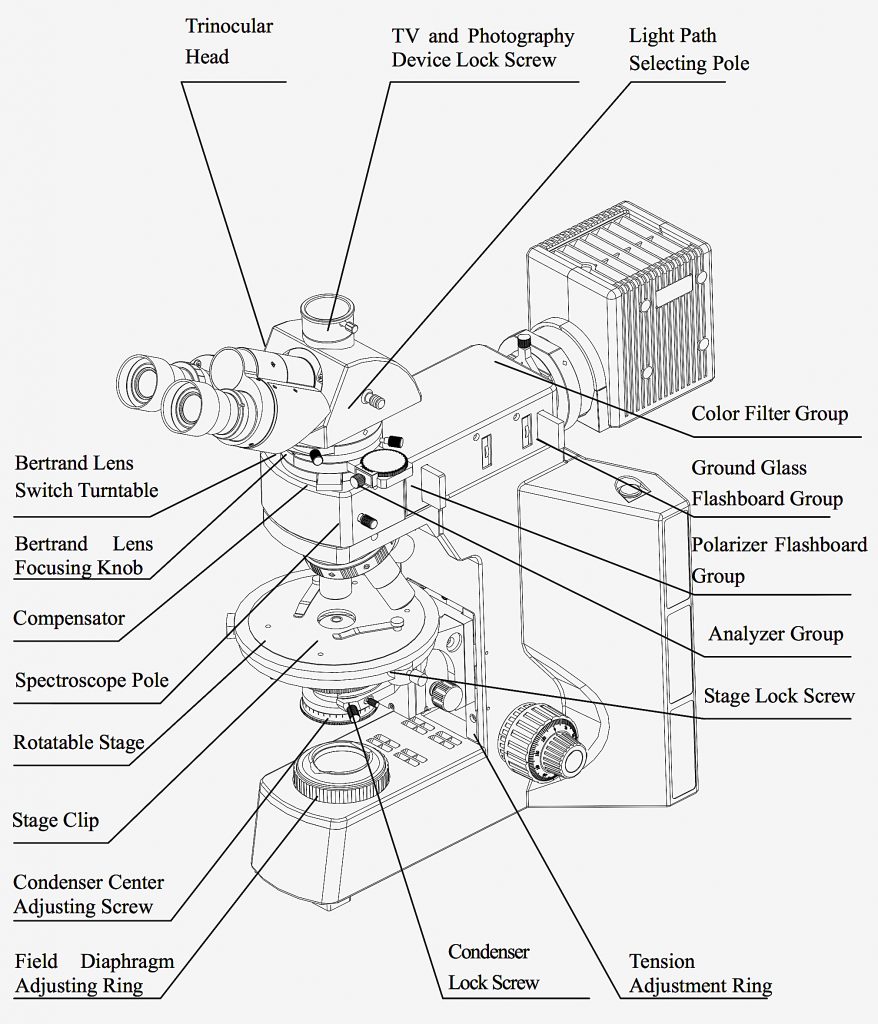 BPM800 Advanced Polarising Microscope with Reflected and/or Transmltted ...