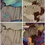 BPM800 Sample Images