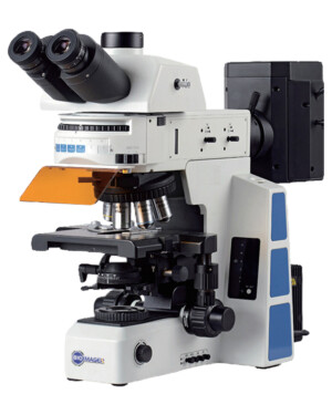 BUM800FL Advanced Uprigh Fluorescence Microscope / Olympus BX53FL