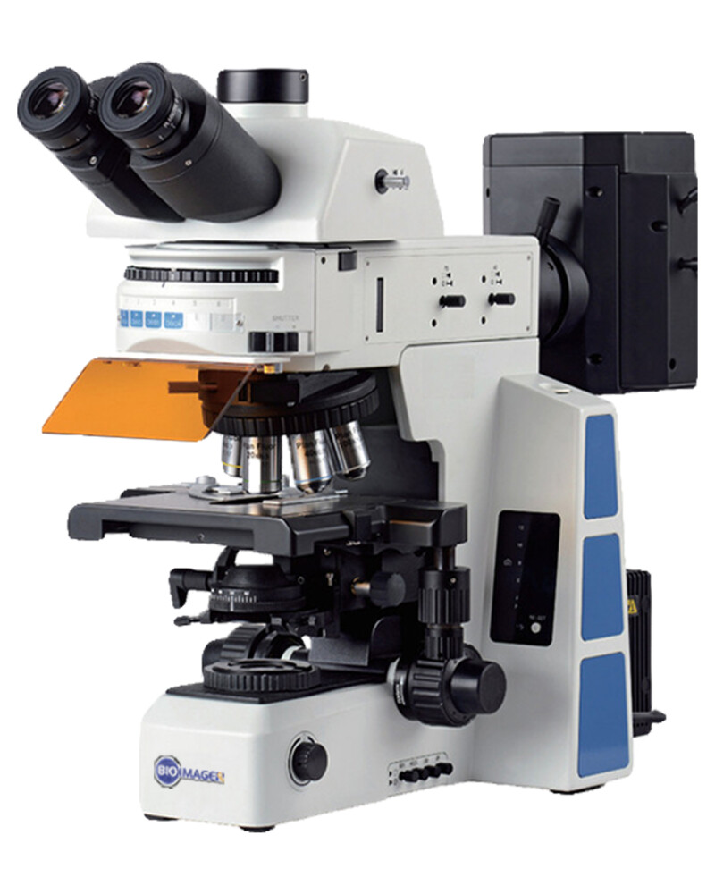 BUM800FL Advanced Uprigh Fluorescence Microscope / Olympus BX53FL
