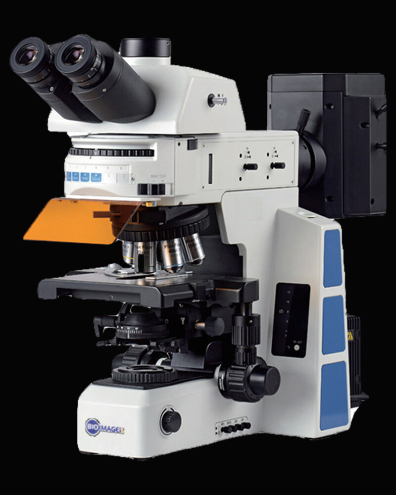 BUM800FL Advanced Uprigh Fluorescence Microscope / Olympus BX53FL - Image 2
