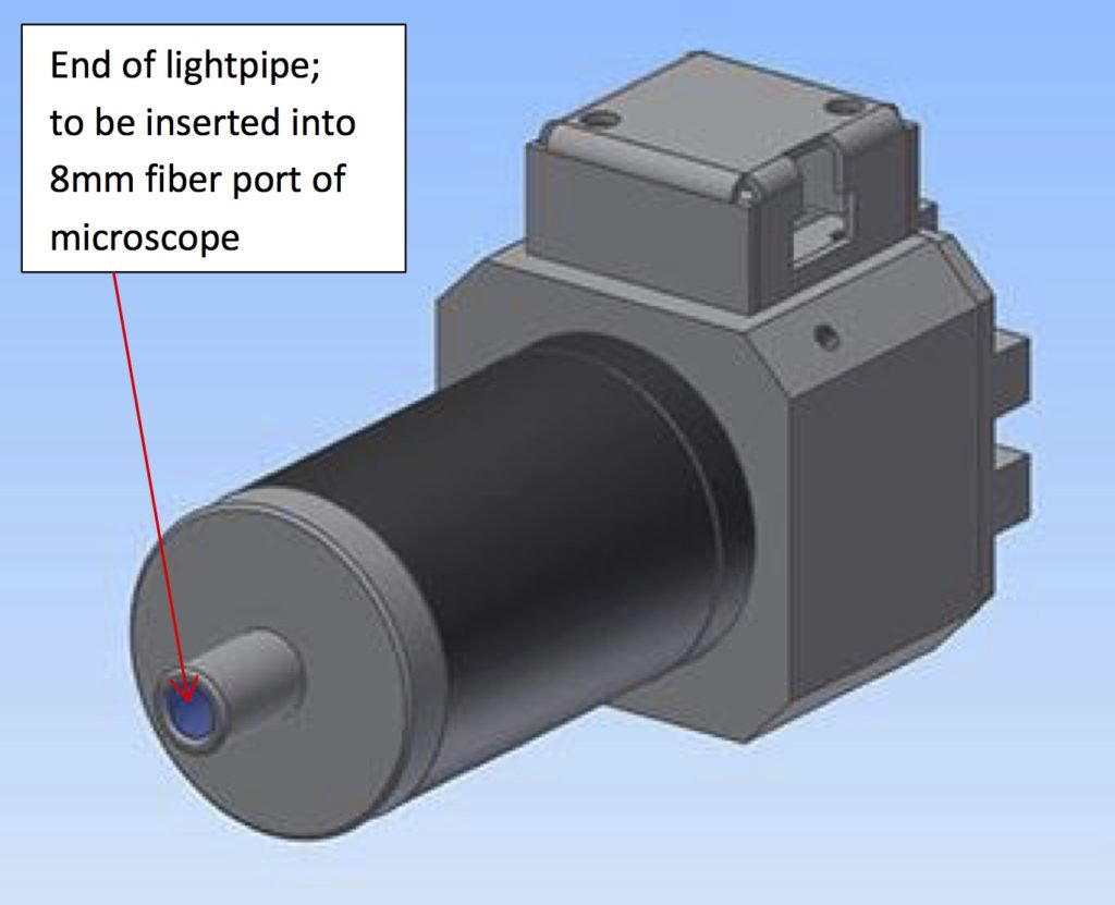 OEM Microscope with Liquid Light Guide-10055