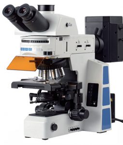 BUM800FL Advanced Uprigh Fluorescence Microscope -0